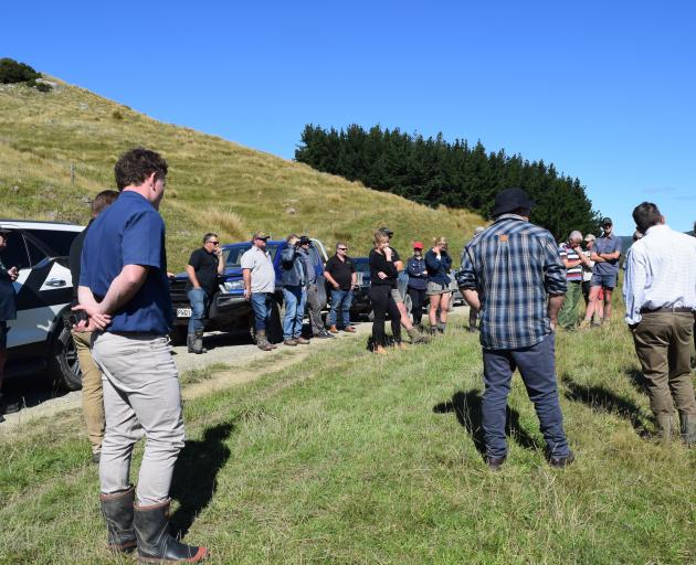 More than 30 people attended a Beef + Lamb field day on Jeff Farm this month. PHOTOS: SHAWN MCAVINUE