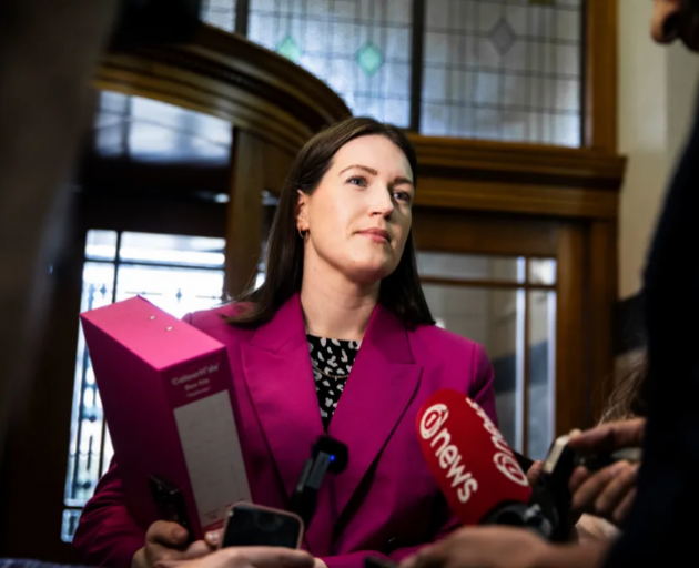 Minister for Workplace Relations and Safety Brooke van Velden. Photo: RNZ