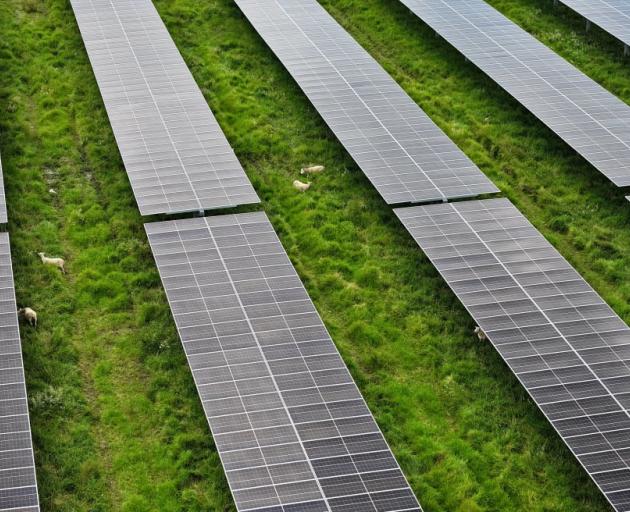 Photo: Supplied / RNZ