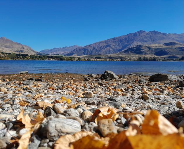 Wai Wānaka is hosting a beach cleanup at Lake Wānaka on Earth Day. PHOTO: ALLIED PRESS FILES