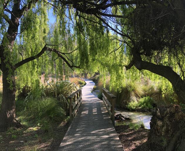 The Bullock Creek Hatchery Spring in the heart of Wānaka. PHOTO: SUPPLIED