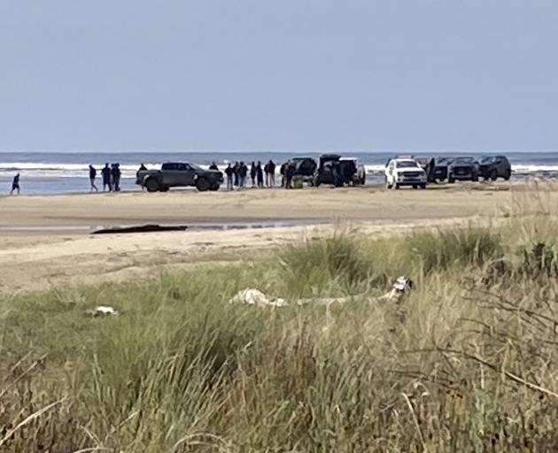 Ford Ranger vehicles on the Papatowai Beach. Photo: Supplied