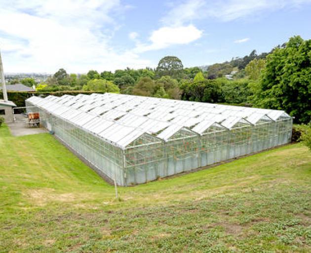 The farm is located on Horotane Valley Rd. Photo: Harcourts