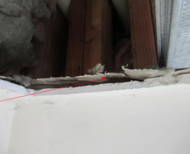 Extensive water leaks and mould were found inside the Leeston Library. Photo: Supplied