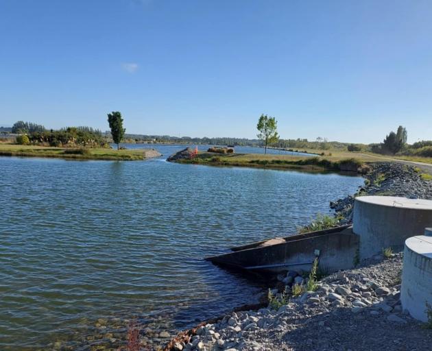 A second person has been poisoned by the toxic algae in Lake Hood. Photo: Supplied/LDR