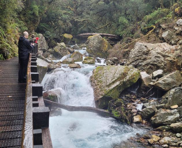 A new viewing platform is to be built at Lake Marian Falls in Fiordland National Park. PHOTO: DOC