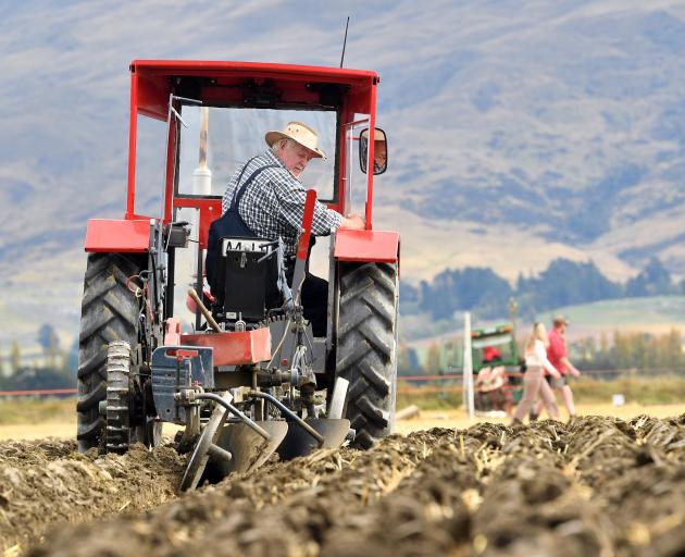 Gore farmer Bill Clearwater pays close attention as he competes in the vintage class at the...