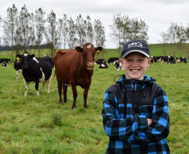 "I’ve always wanted a red cow - a different colour to a Friesian," Koby says. PHOTO: SHAWN...