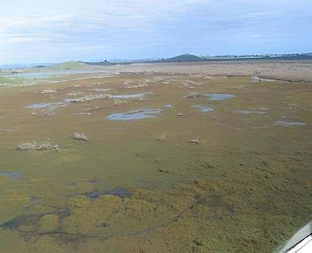 A new tool could help flag areas at risk of flooding. PHOTO: SUPPLIED