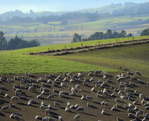 The winter grazing season runs from May 1 to September 30. PHOTO: STEPHEN JAQUIERY (file)