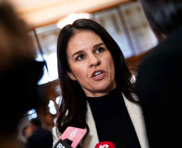 Education Minister Erica Stanford $30m million was needed for maths workbooks, guidance, and...