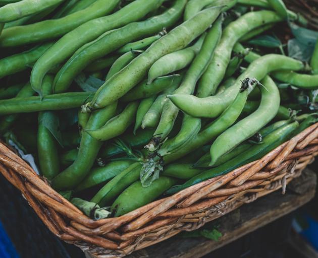 Broad beans. PHOTO: GETTY IMAGES