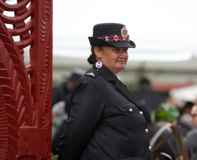 A Māori warden overseeing one of the gates into Tuurangawaewae. Photo: RNZ
