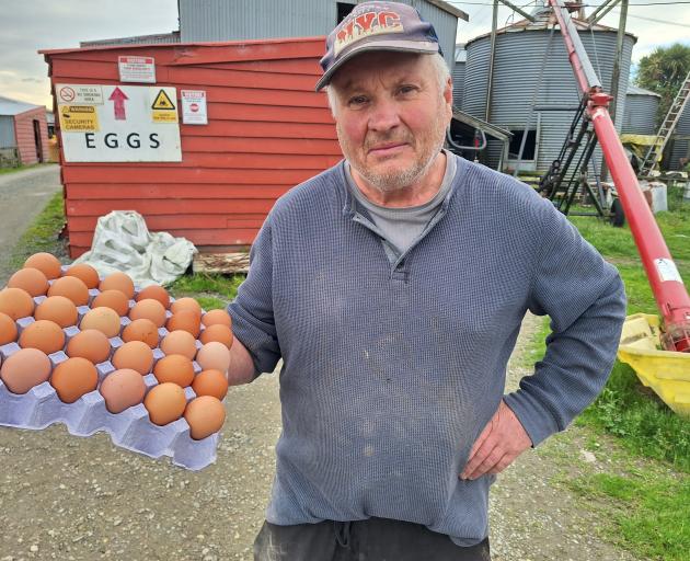 Poultry farmer Nigel Hewitson at his Tisbury poultry farm yesterday. PHOTO: NINA TAPU