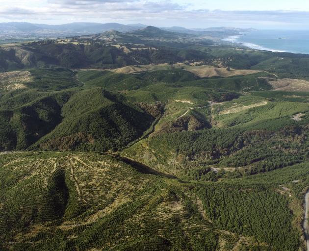 Proposed Smooth hill site looking north towards Dunedin, PHOTO: STEPHEN JAQUIERY