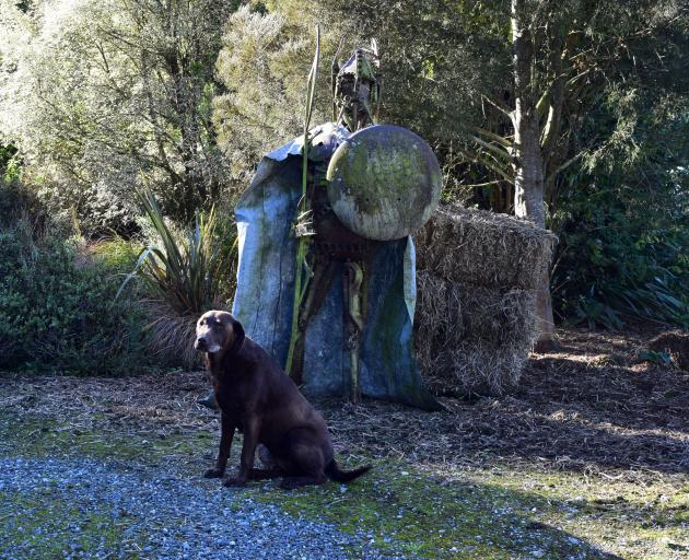 Dog Xena sits near a steel viking warrior statue on Braewick farm in Tuapeka West.