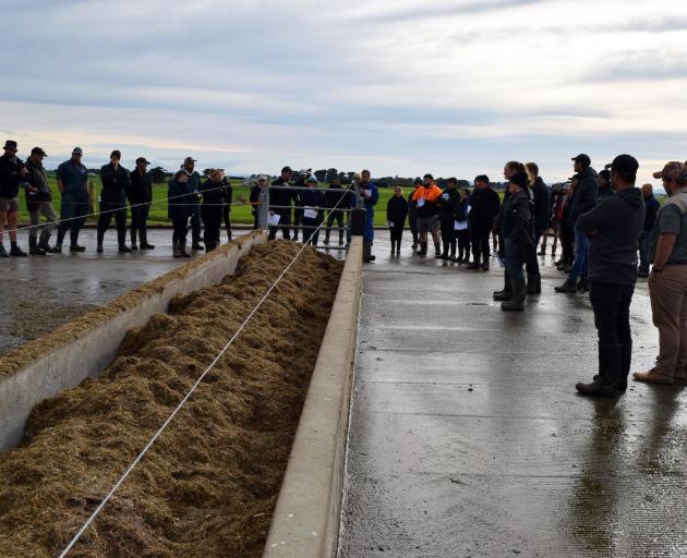 People on a feed pad listen to Mr de Haan speak about his sharemilking business.