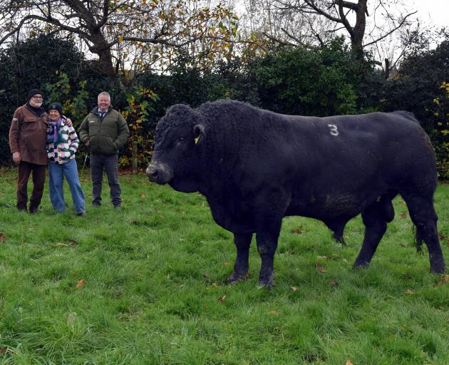 Celebrating selling rising 2-year-old bull Leafland 230039 for $42,000 in North Taieri last week...