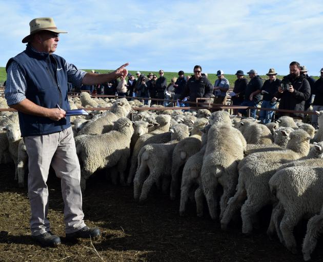 PGG Wrightson auctioneer Mark Yeates, of North Otago, spots a bid at last week’s sale. Photo:...