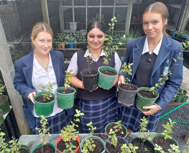 Taieri College students Lilli Irving (18), Aroha Renata (17) and Elise Mathias (17) in the...