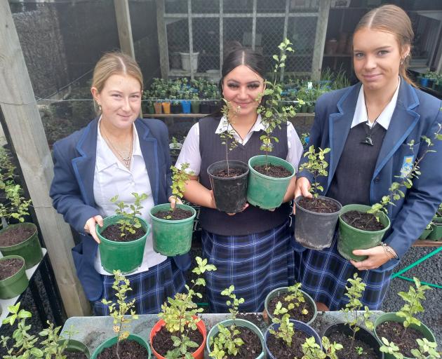 Taieri College students Lilli Irving (18), Aroha Renata (17) and Elise Mathias (17) in the...
