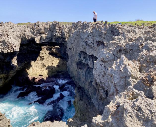 A huge limestone sinkhole on the coast at Fucha on Okinoerabujima; we spotted a sea turtle...