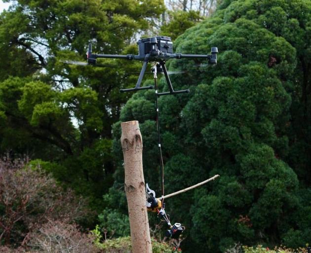 A new chainsaw drone making tree pruning next to power lines safer was developed by a University...