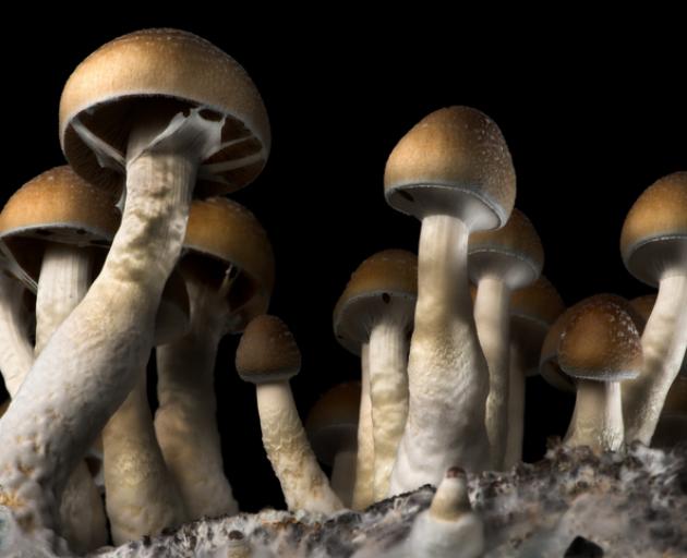 The man’s offending came to light when New Zealand Customs screened a package addressed to the...