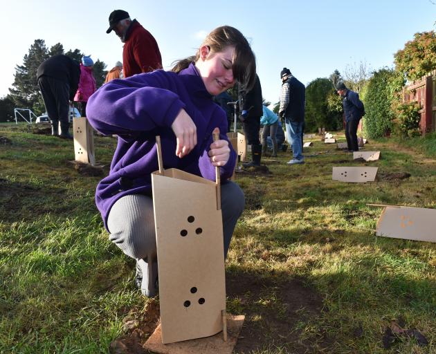Lilyanna Eden, 13, plants a native tree at Rotary Park in Highcliff, Dunedin, on a chilly...