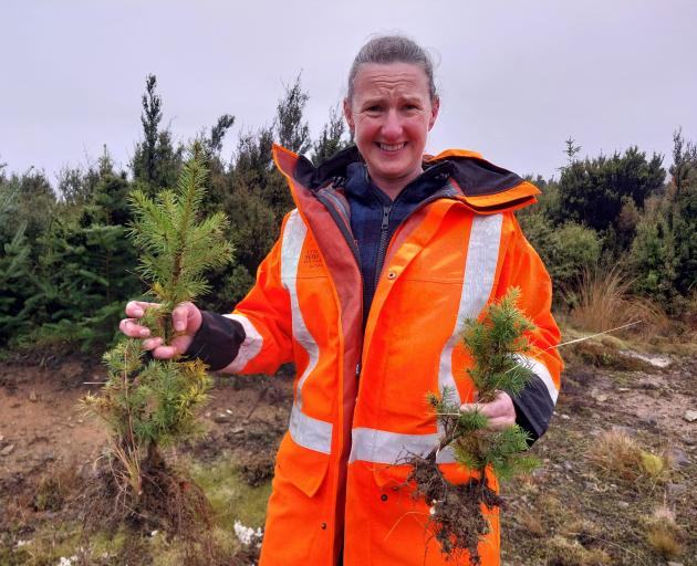 Environment Southland biosecurity plants team leader Jolie Hazley has seen an increase in the...