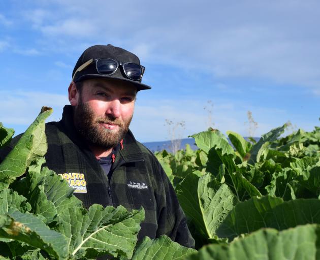 Sustainable Prospects Ltd manager Ben Peter stands in a kale paddock, which won him the best...