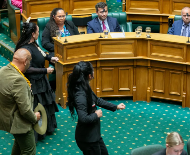 Te Pāti Māori MPs , Debbie Ngarewa-Packer, Rawiri Waititi and Hana-Rawhiti Maipi-Clarke face ACT...