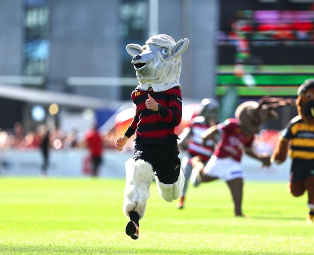 Canterbury mascot Larry the Lamb stormed to victory in the mascot race at half-time of the NPC...