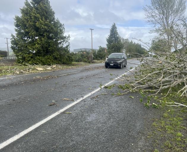 The road between Gore and Mataura was littered with debris as trees were uprooted, causing delays...