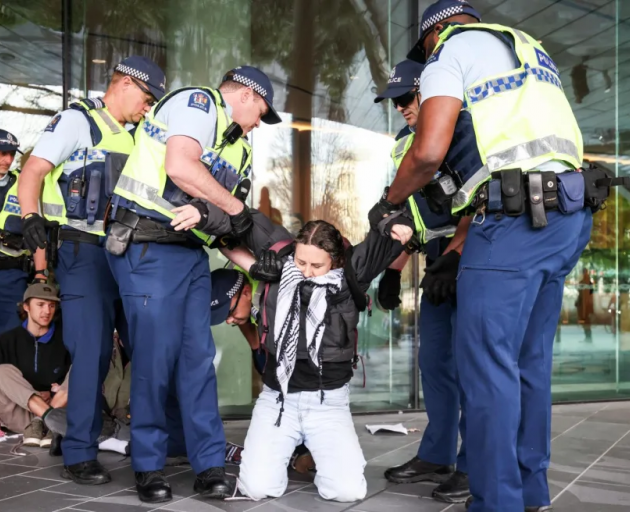 Several protesters were carried away by police. Photo: RNZ / Nathan Mckinnon