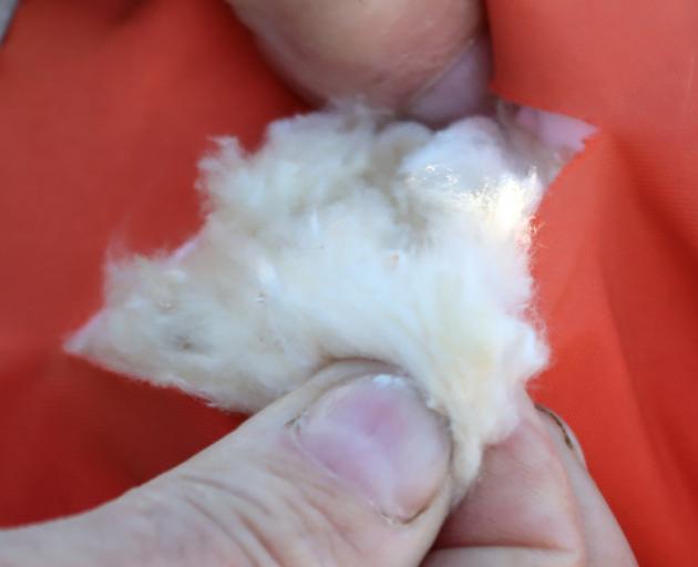 Older lifejackets filled with kapok need to be replaced because the material absorbs water and...