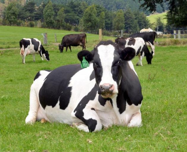 Bovaer is the first widely commercially available product being used by farmers to slash the...