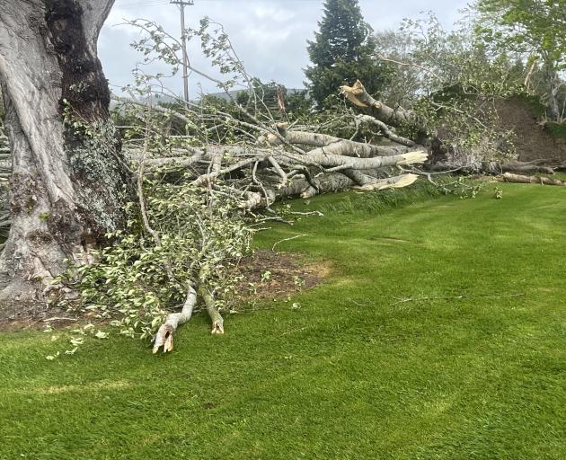 After October’s storm, 182 truckloads of tree debris and other green waste has been removed from...