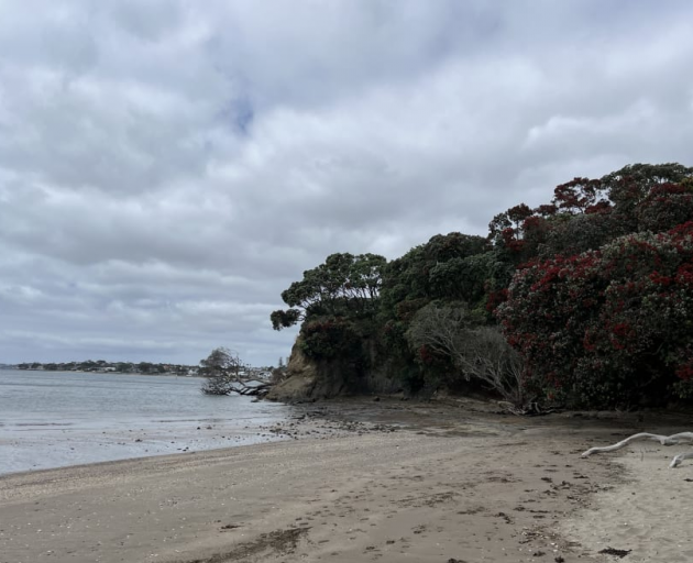 Castor Bay on Auckland's North Shore. Photo: RNZ / Emma Stanford