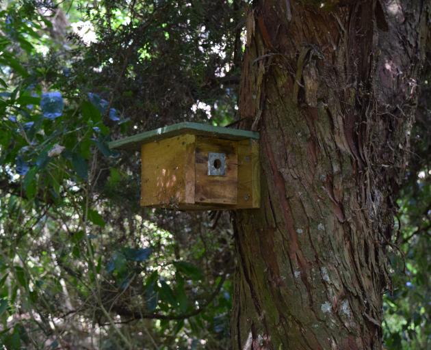 A nest box for rifleman, or tītipounamu, at Seaton’s Bush covenant on Roselle Farm.