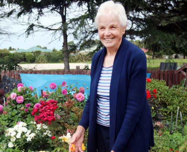 North Otago Horticultural Society president Christine Schaffer, in her home garden, prepares for...