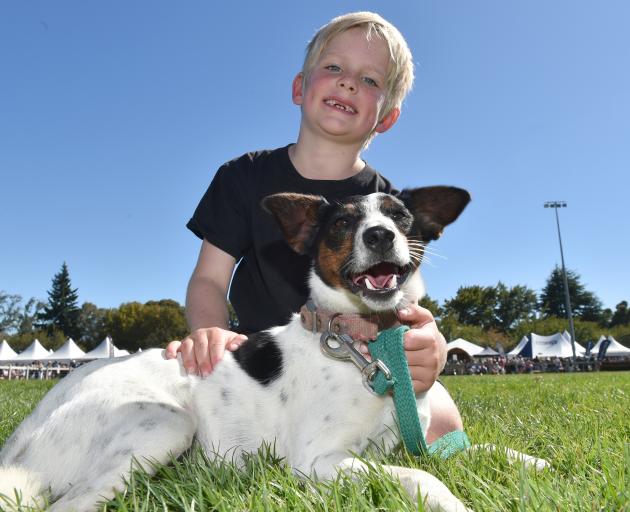 Jack Stewart with his 2-year-old Jack Russell terrier Fred, after winning the Wanaka A&P Show...