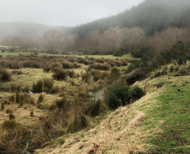 The upthrown side of the Akatore Fault.  PHOTO: PAUL GORMAN