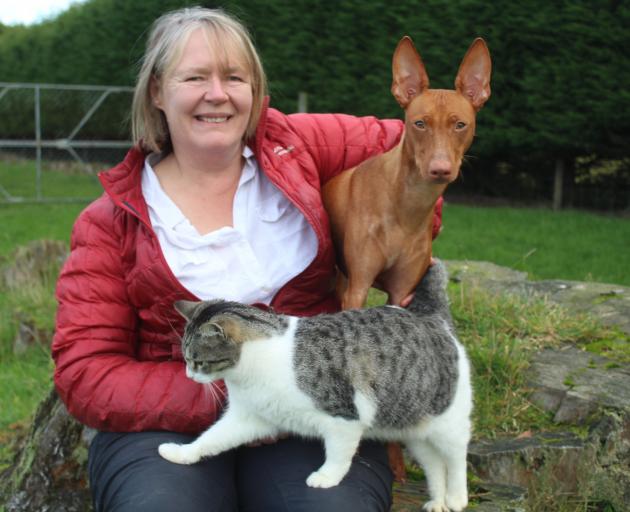 Nicky Taylor, of Invercargill, and her rare Cirneco dell’Etna Phoenix will compete in this...