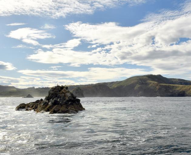 Tow Rock, which sits just outside the the southern boundary of the proposed Ōrau Marine Reserve...