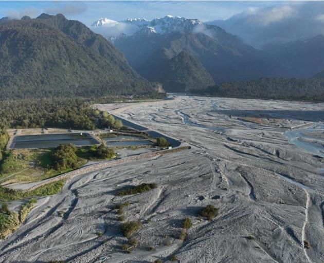 A view of the avulsing Waiho River looking inland towards Franz Josef Glacier township, with the...