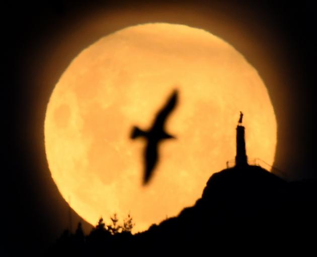 ODT's Illustrations Editor Stephen Jaquiery captured this stunning shot from the Beverly-Begg...