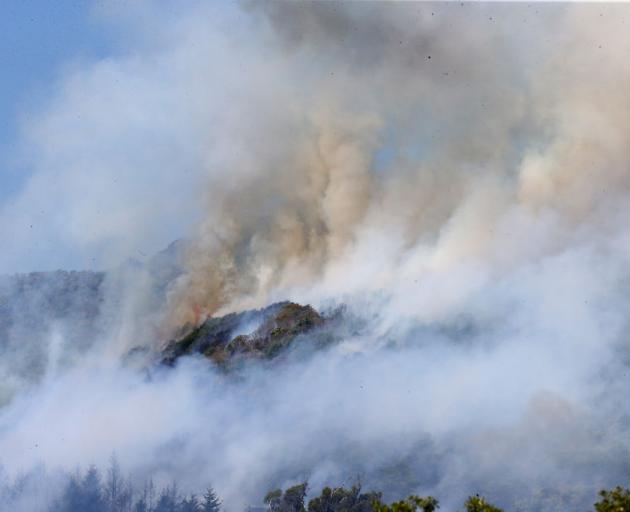 It has been a grim, gritty week in the Nelson region as the ongoing fires have cast a literal and...