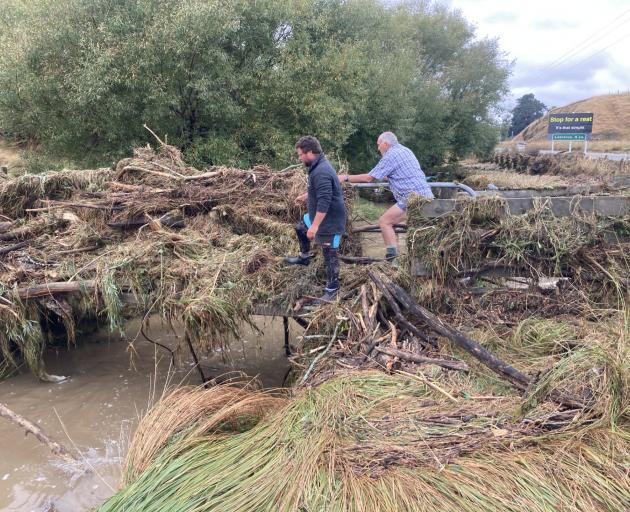 A large tree is cleared after falling on a cycle trail near Lawrence. PHOTO: STEPHEN JAQUIERY
