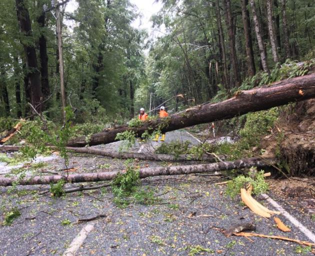 Work continues to clear the Glenorchy Road of branches. Photo: QLDC